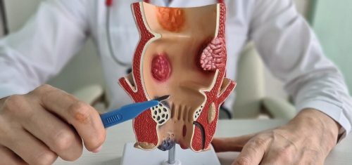 WhatsApp Image 2024-05-10 at 5.42.03 PM